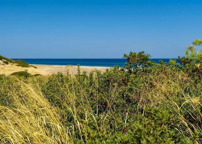 House Myrtos Lejlighed